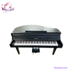 piano-dien-yamaha-dgp1