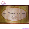 guitar-acoustic-rosen-xanh-den-r135
