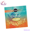 day-classic-savarez-510mrjp
