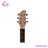 guitar-acoustic-tnve-70h