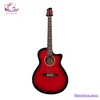 guitar-acoustic-tnve-70d
