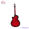 guitar-acoustic-tnve-70d