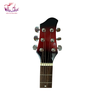 guitar-acoustic-tnve-70d