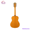 guitar-acoustic-mantic-d1-cam-den