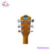 guitar-acoustic-mantic-d1-cam-den
