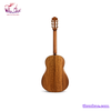 guitar-classic-c6t-go-soi