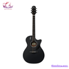 guitar-acoustic-rosen-g12-neo-den
