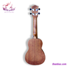 dan-ukulele-go-concert-size-21