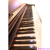 dan-piano-dien-korg-c-303