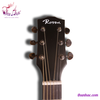 guitar-acoustic-rosen-mau-go-g15