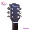 guitar-acoustic-rosen-g11-den