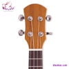 dan-ukulele-fender-go-size-23