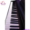 piano-dien-korg-c-16
