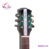 guitar-acoustic-rosley-xanh-la-den