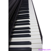 dan-piano-dien-casio-ap-10
