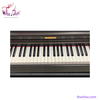 piano-dien-kawai-cn-22r