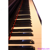 dan-piano-dien-yamaha-clp-570