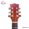 dan-guitar-acoustic-trang