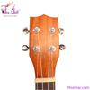 dan-ukulele-concert-size-23