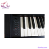 piano-dien-casio-ap420bn
