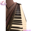 piano-dien-casio-ap-12s