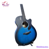 guitar-acoustic-rosen-g12-neo-xanh-den