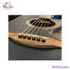 guitar-acoustic-mantic-gt-1dcbk