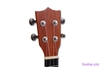 dan-ukulele-go-concert-size-23