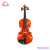 violin-kapok-g2-15-kem-hop-vy