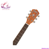 guitar-acoustic-wasburn-wd7s