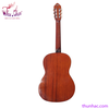 guitar-classic-eko-cs12