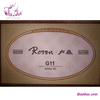 guitar-acoustic-rosen-g11-den
