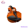 violin-bong-thuong-size-3-4