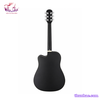guitar-acoustic-rosen-g11-pro-neo-cam-den