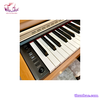 piano-dien-casio-ap-33c