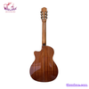 dan-guitar-classic-tnc-350j