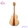 guitar-acoustic-a6-go-soi-phap