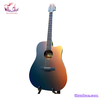 guitar-acoustic-rosen-g12-neo-cam-den
