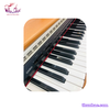 piano-dien-casio-ap45c