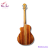 guitar-acoustic-av2-hong-dao