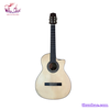 dan-guitar-classic-tnc-350j