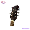 guitar-acoustic-ve-70