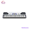 organ-casio-ctk-481