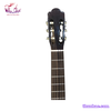 guitar-classic-t70