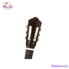guitar-classic-c6t-go-soi