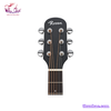 guitar-acoustic-rosen-g12-neo-den