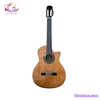 dan-guitar-classic-tnc-350j