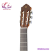 dan-guitar-classic-yamaha-cg142s