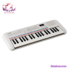 dan-organ-yamaha-pss-e30