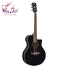 dan-guitar-acoustic-yamaha-apx600-co-eq